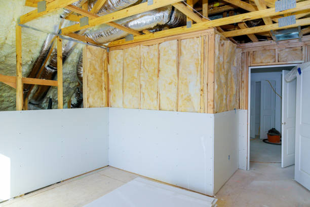 Best Insulation for New Construction  in Zionsville, IN