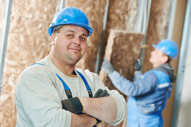 Best Wall Insulation Contractor  in Zionsville, IN